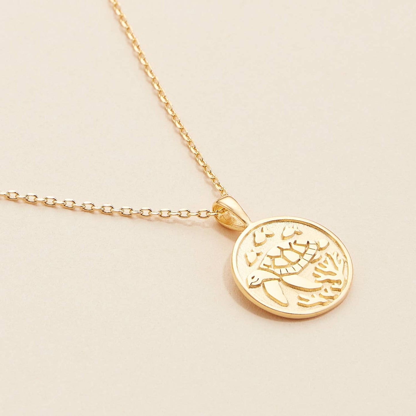 Turtle Coin Charm Gold Dip Necklace