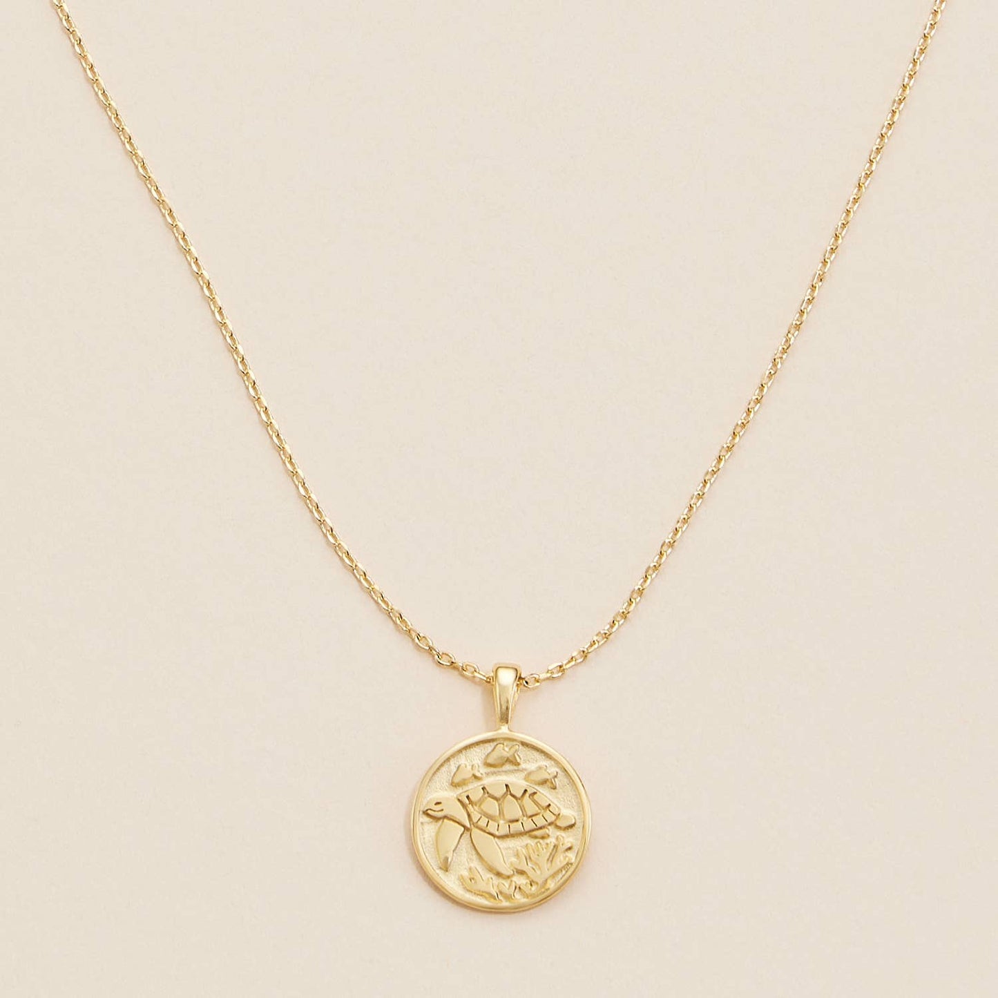 Turtle Coin Charm Gold Dip Necklace