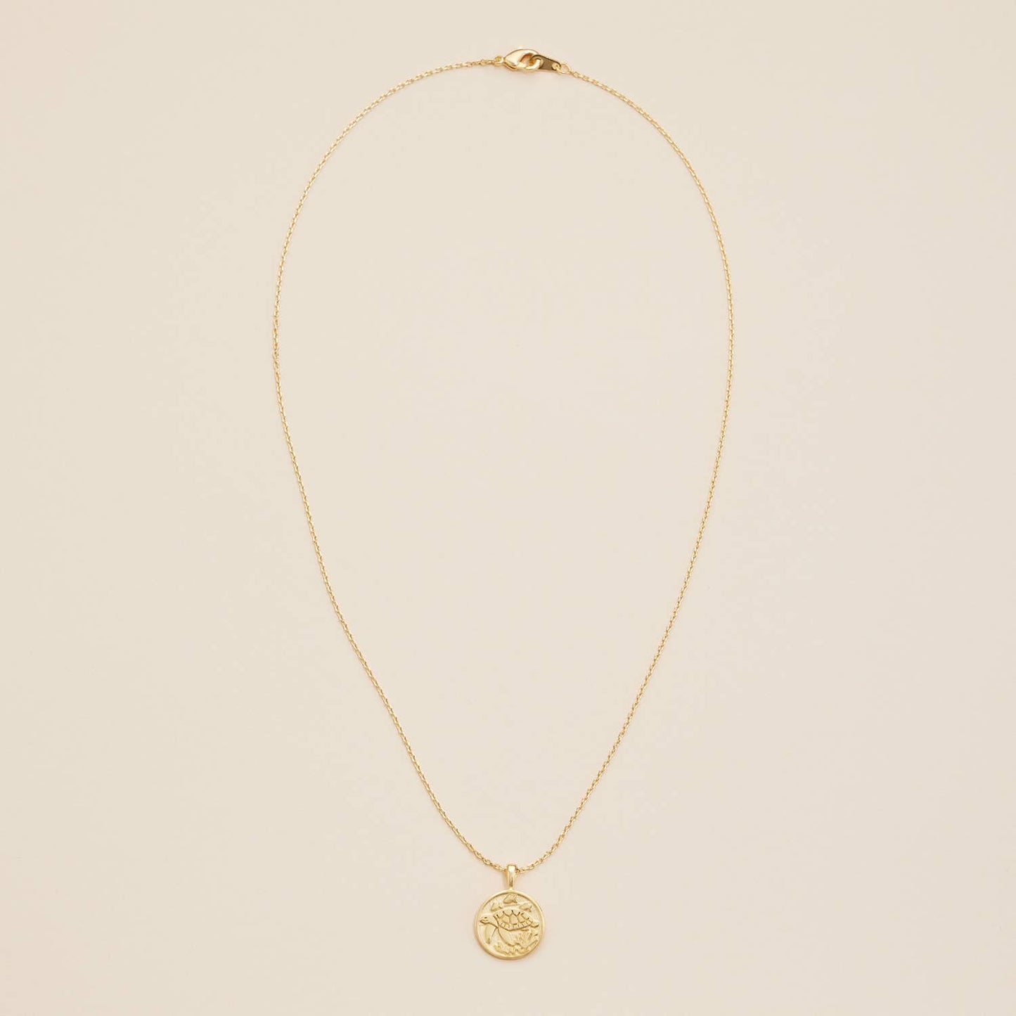 Turtle Coin Charm Gold Dip Necklace