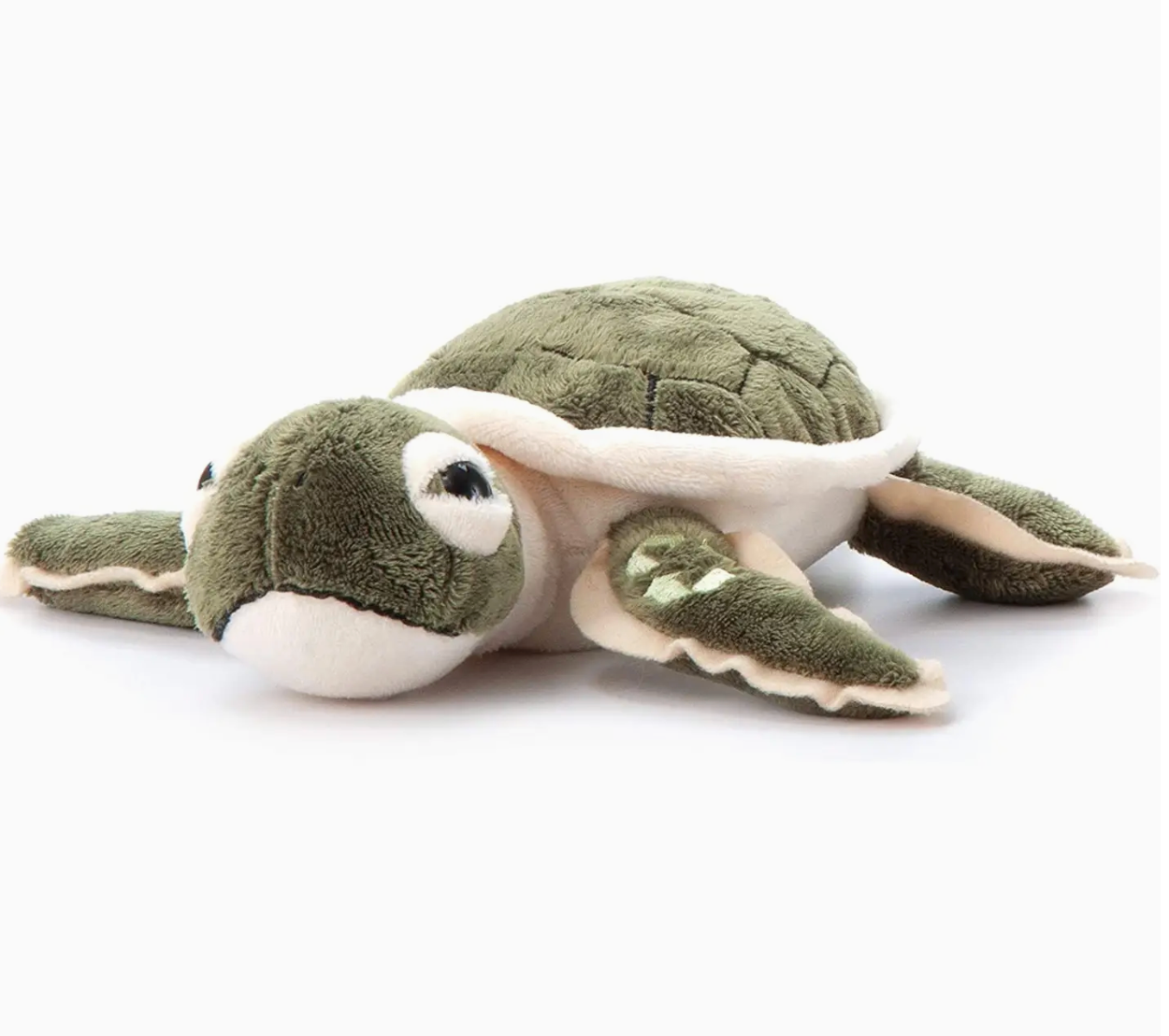 9" Hatchling Sea Turtle