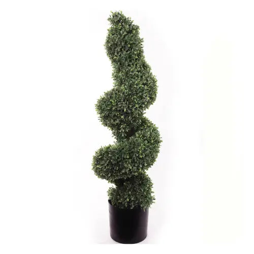 Spiral Boxwood Topiary Tree in Black Pot - 36in.