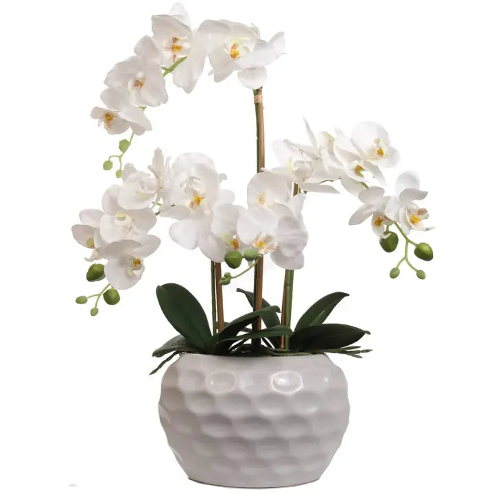 White Orchid Flower Arrangement in Vase - 20" Faux